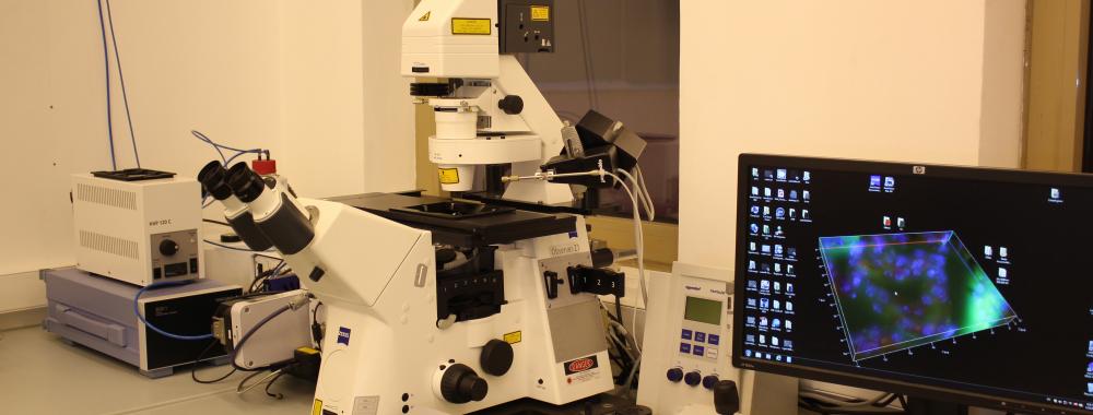 Конфокальный флуоресцентный микроскоп с диском Нипкова для анализа флуоресцентного сигнала с высоким временным разрешением Zeiss Observer Z1 (Zeiss, Германия)