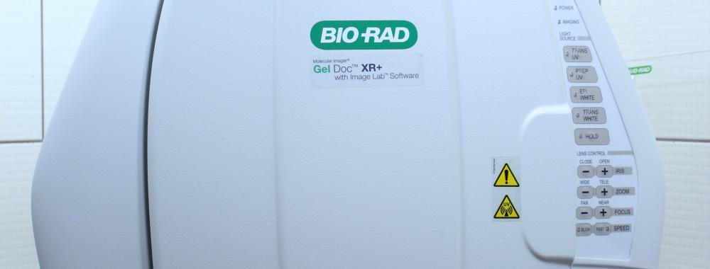 Приборы для гель-электрофореза (BioRad) для разделения белков и фрагментов ДНК; трансиллюминатор для детектирования результатов гель-электрофореза