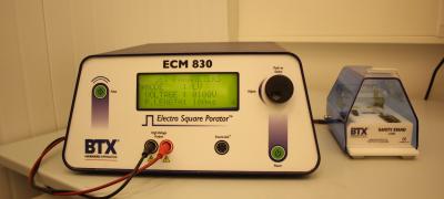 Прибор для проведения электропорации клеток ECM 830