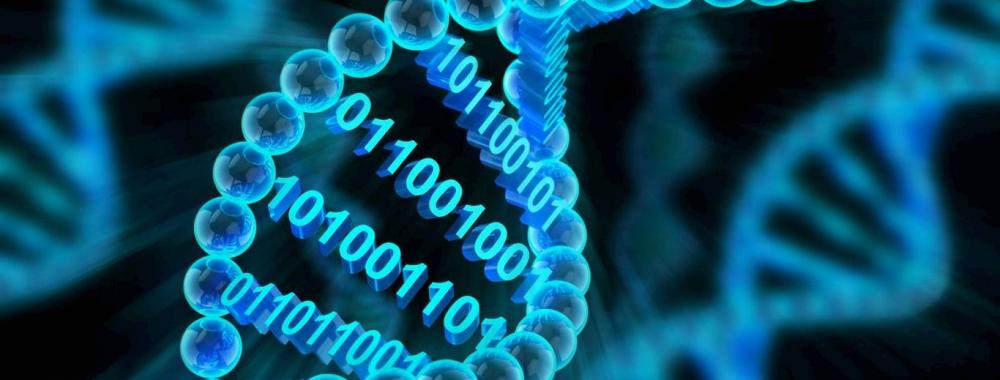 Биоинформатический анализ масс-спектрометрических данных антител