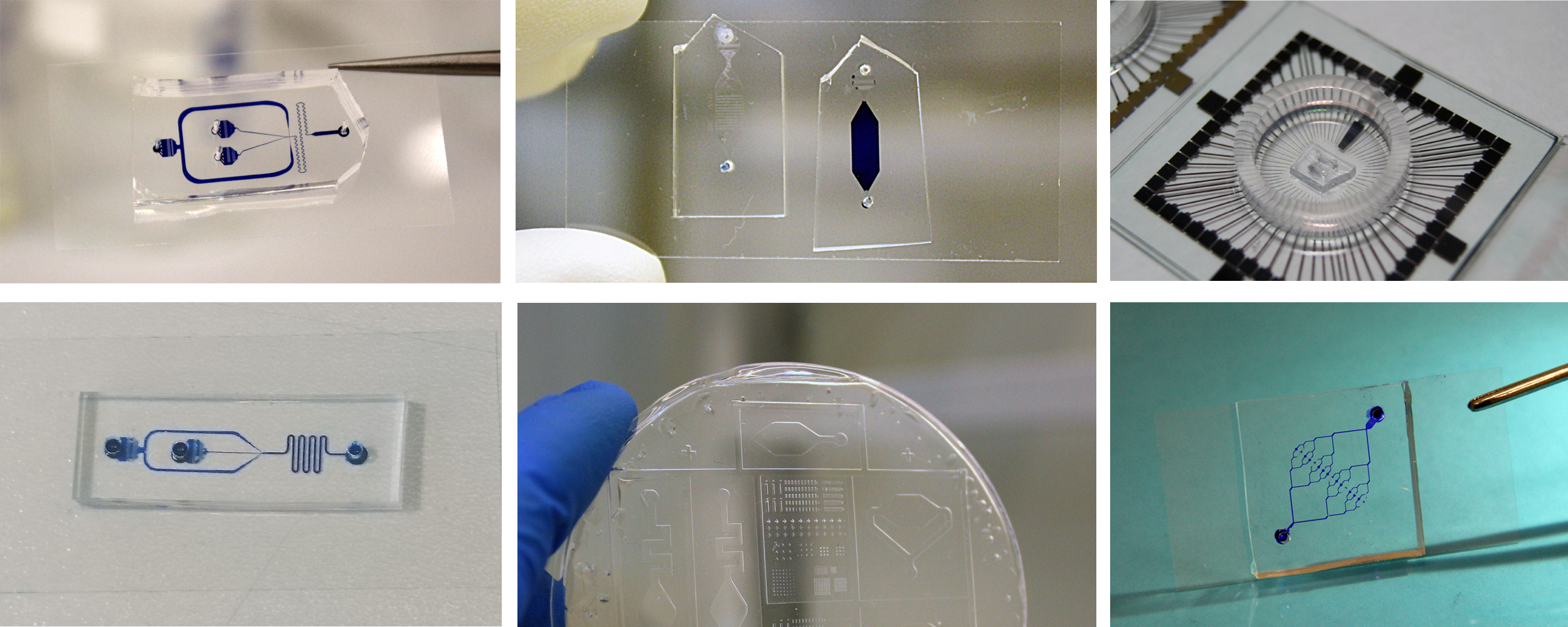 На какой картинке выделен. Микрофлюидные чипы. Лаборатория на чипе. Микрофлюидный чип для разделения по размерам. Орган на чипе.