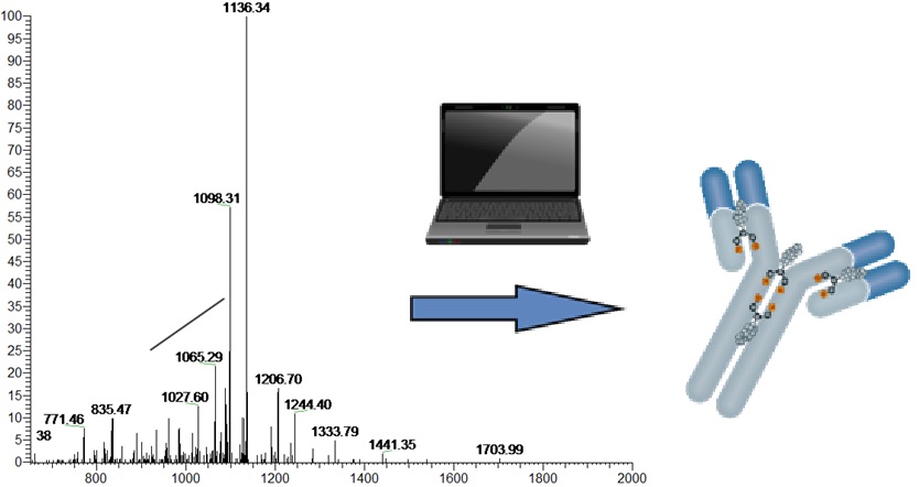 Анализ данных масс-спектрометрии высокого разрешения 
для моноклональных антител
